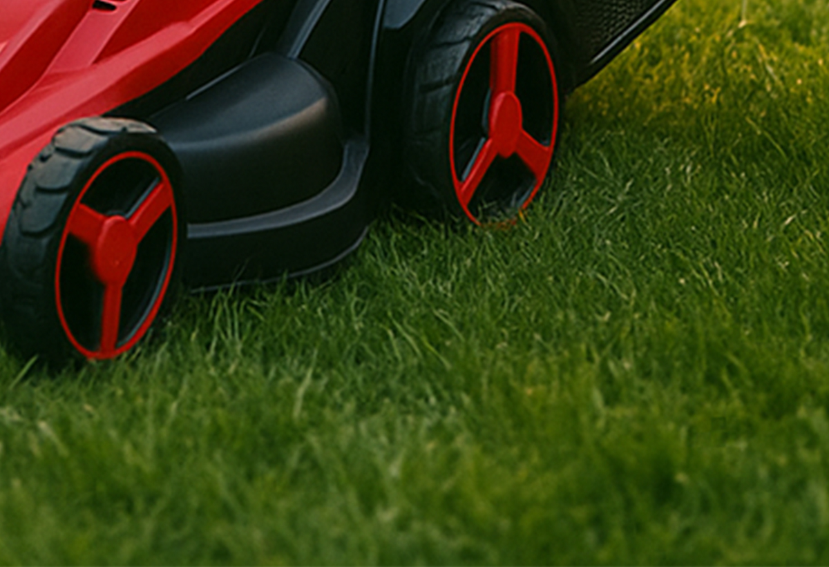 Παρουσιάζει μία κοντινή λήψη στο γκαζόν